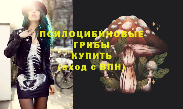 стаф Орск