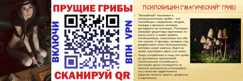 Псилоцибиновые грибы мицелий  hydra ONION  Бабаево 